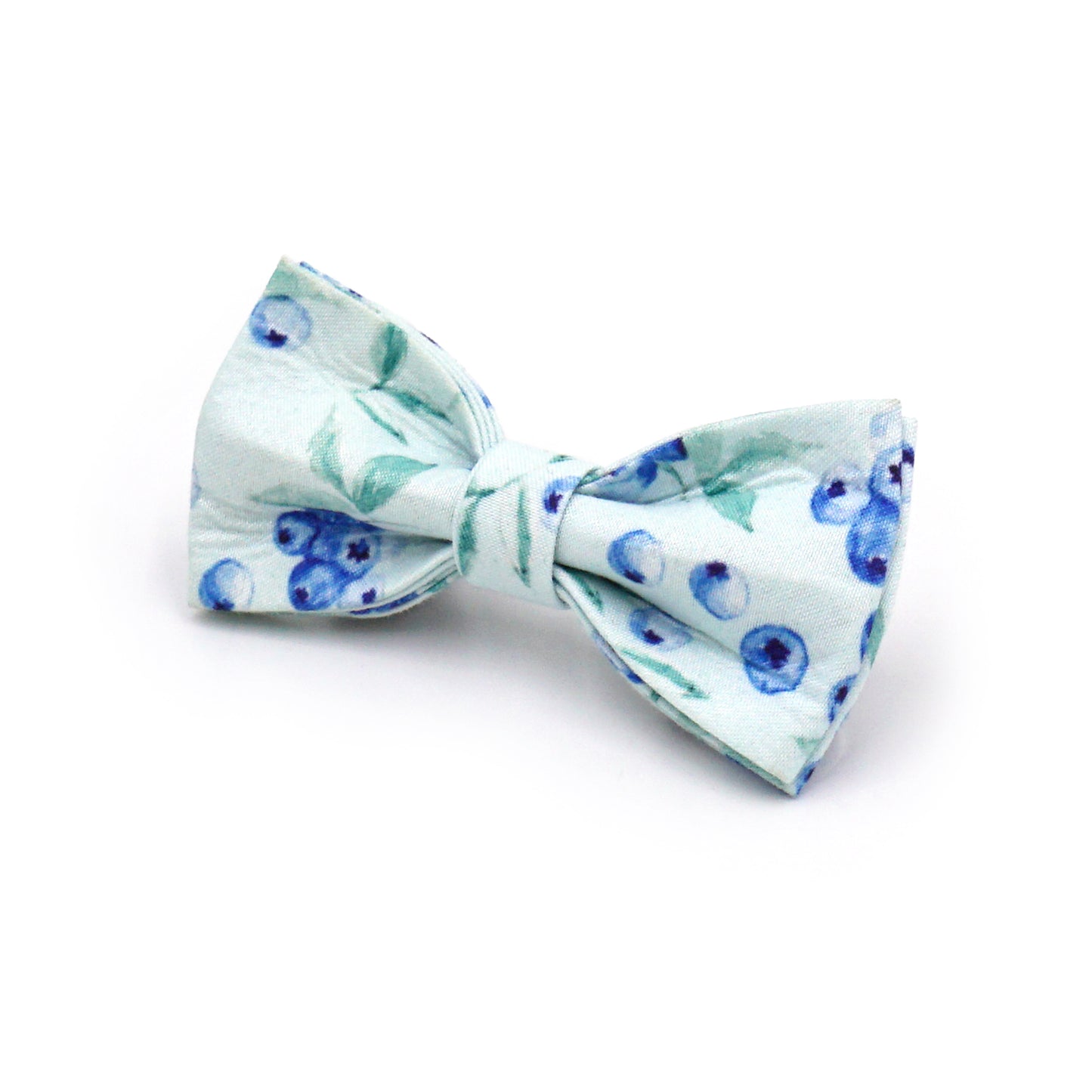 Personalized Fruit Pattern Cat Collar with Leash and Bowtie