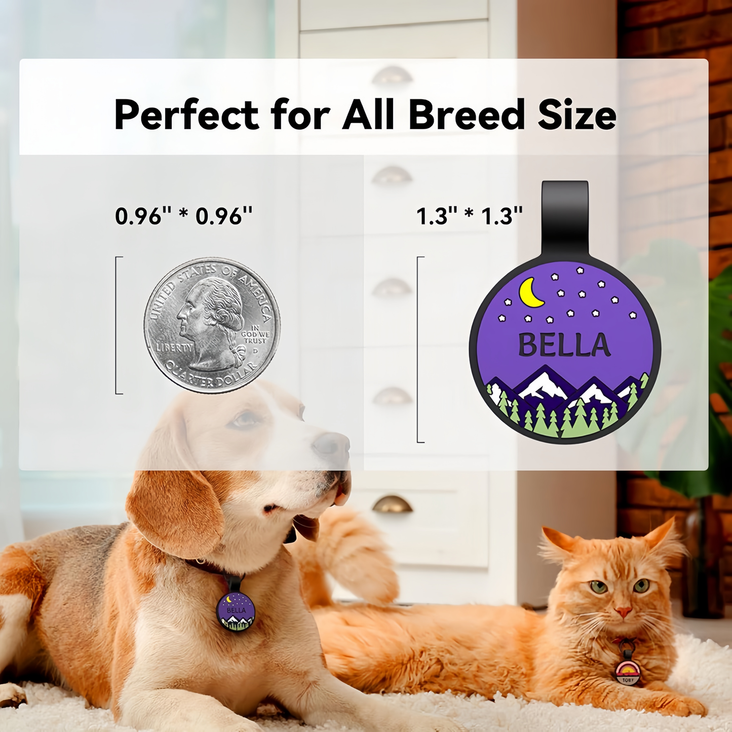 Silent Pet ID Tags - Personalized Engraved Silicone Dog and Cat Name ID Tag