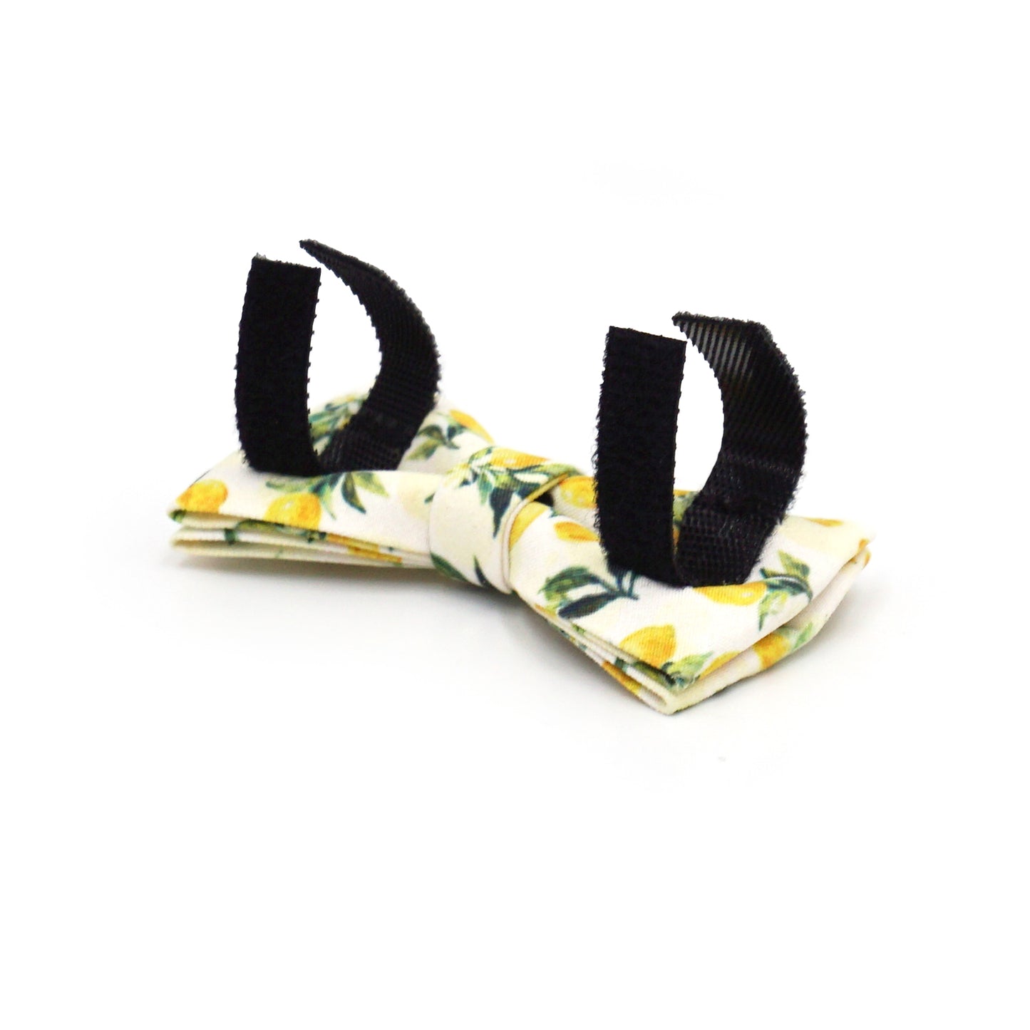 Personalized Fruit Pattern Cat Collar with Leash and Bowtie
