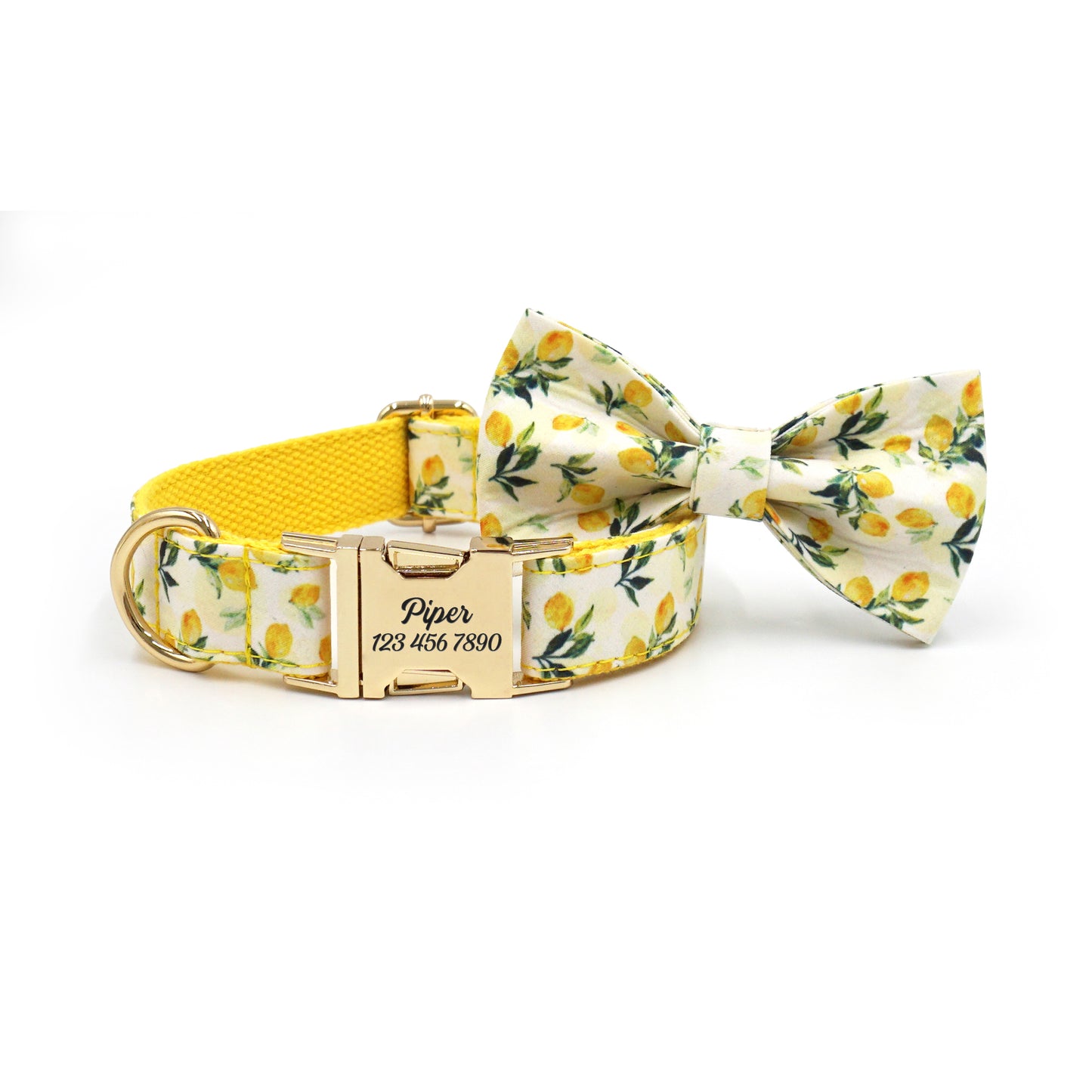 Fruit Pattern Personalized Dog Collar with Engraved Metal Buckle