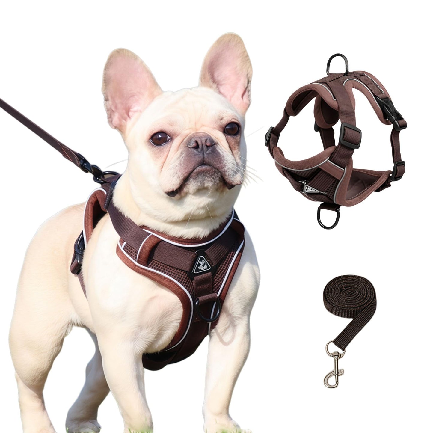 Reflective Cat Harness, Adjustable Kitten Harness and Leash Set