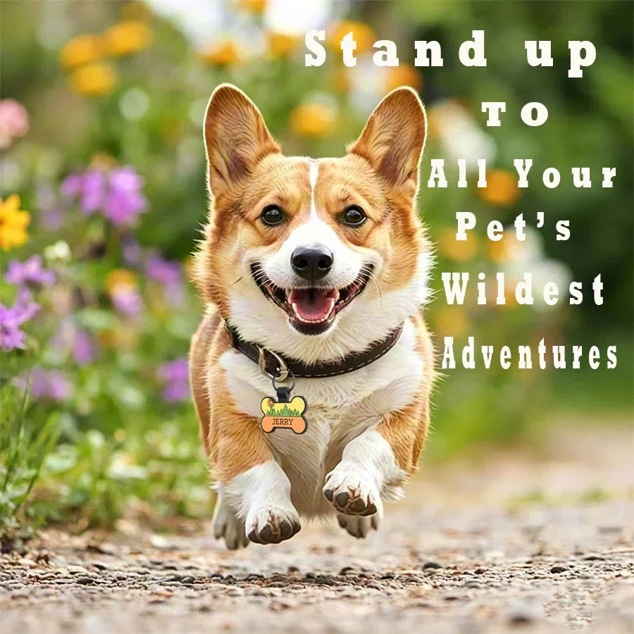 Personalized Silicone Dog ID Tags Engraved Two Sides