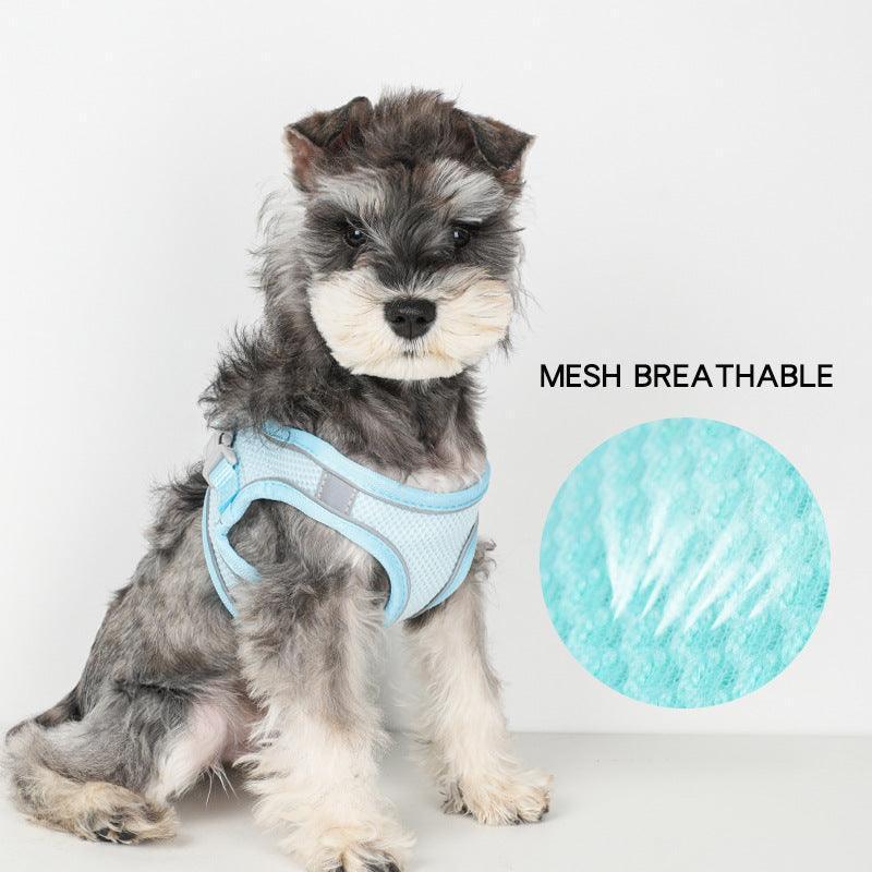 No Pull Adjustable Reflective Pet Harness and Leash Set for Cat & Small Dogs - iTalkPet