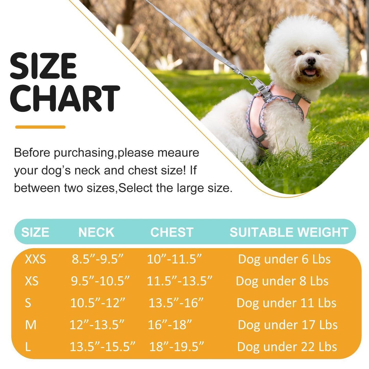 No Pull Adjustable Reflective Pet Harness and Leash Set for Cat & Small Dogs - iTalkPet