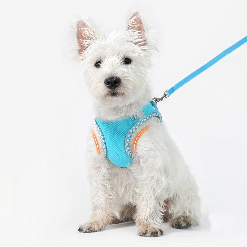 No Pull Adjustable Reflective Pet Harness and Leash Set for Cat & Small Dogs - iTalkPet