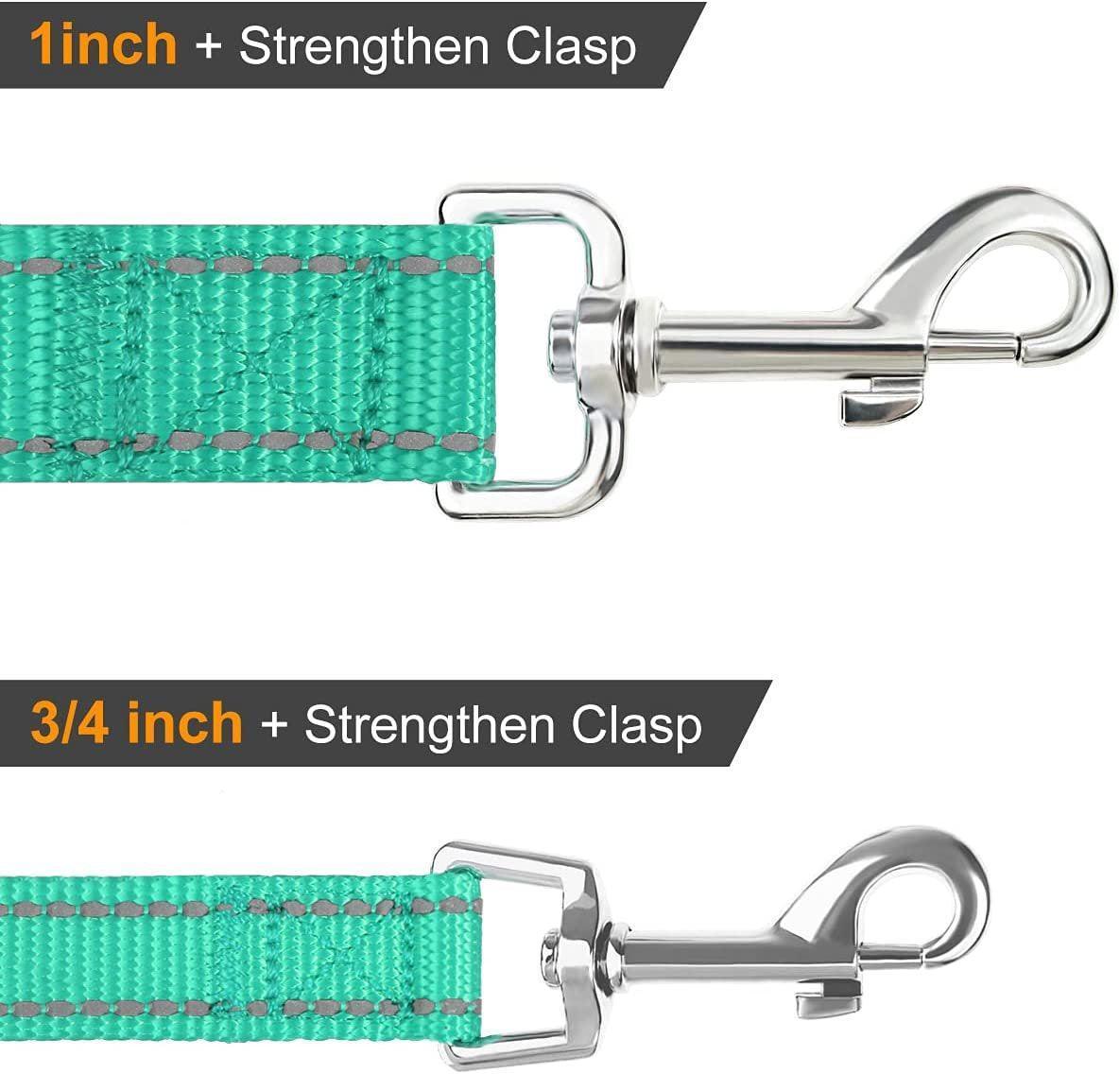 Reflective Dog Leash with Soft Padded Handle - iTalkPet