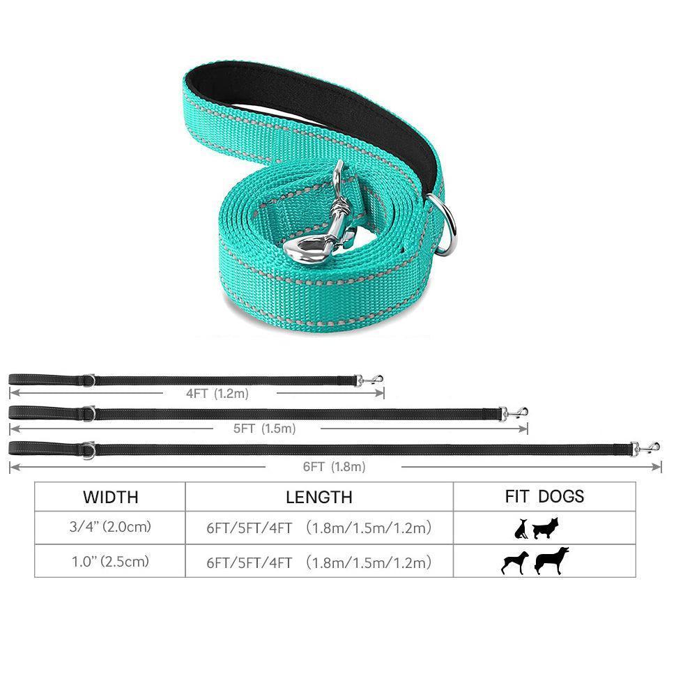 Reflective Dog Leash with Soft Padded Handle - iTalkPet