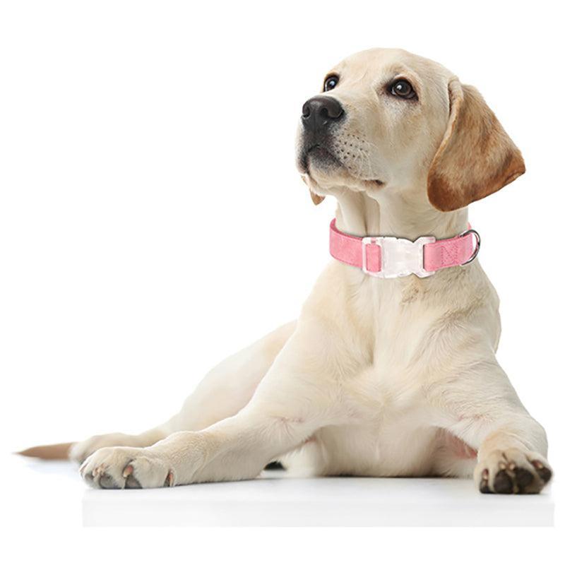 Soft Leather Transparent Buckle Custom Engraving Dog Collar - iTalkPet