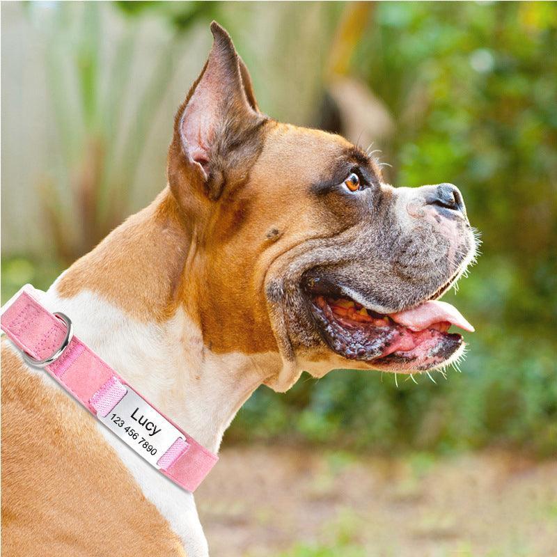 Soft Leather Transparent Buckle Custom Engraving Dog Collar - iTalkPet