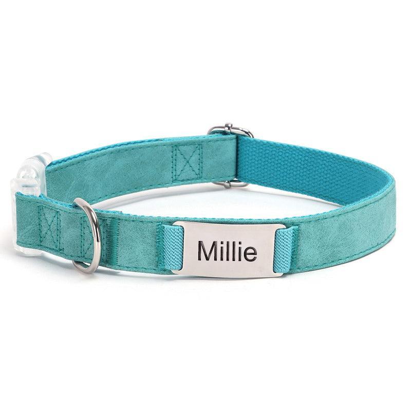 Soft Leather Transparent Buckle Custom Engraving Dog Collar - iTalkPet