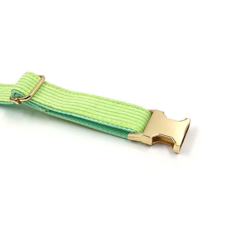 Stripe Velvet Personalized Dog Collar - iTalkPet