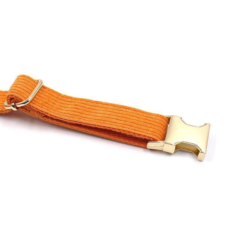 Stripe Velvet Personalized Dog Collar - iTalkPet