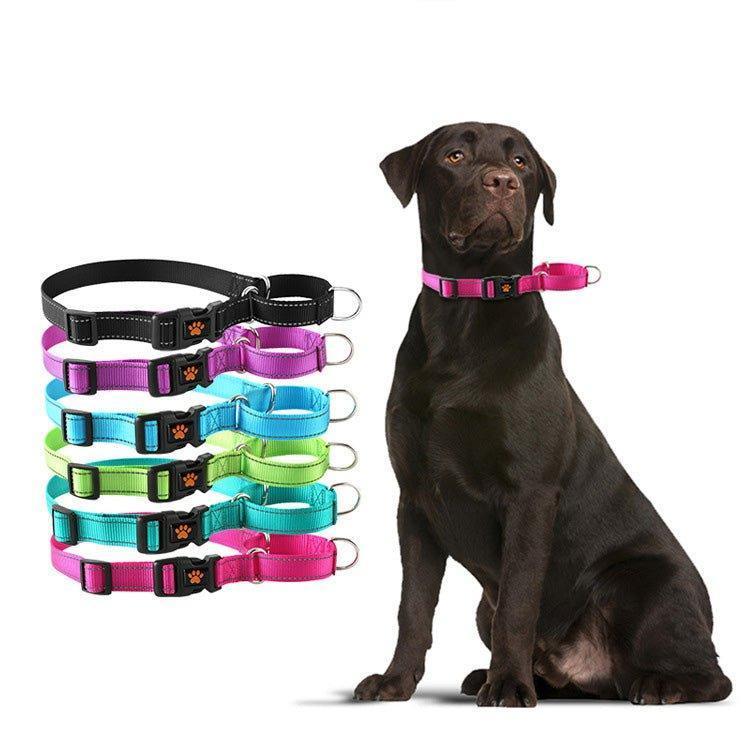 Adjustable Nylon Reflective Martingale Dog Collar - iTalkPet