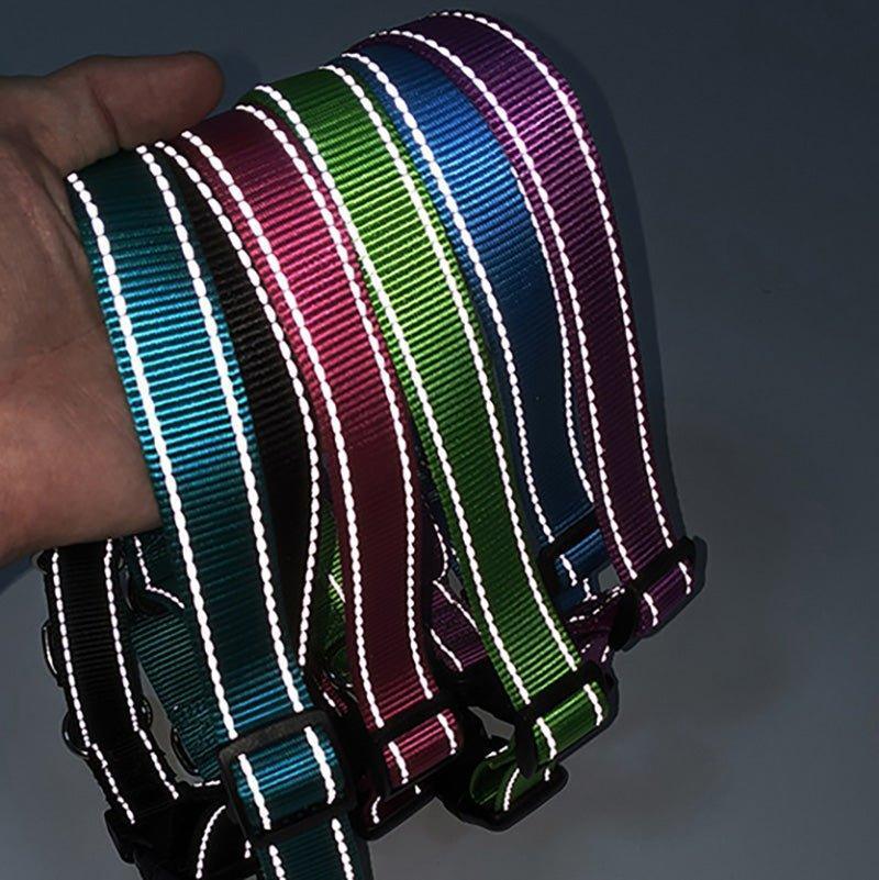 Adjustable Nylon Reflective Martingale Dog Collar - iTalkPet