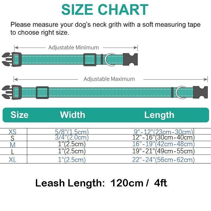 Bird Print Beautiful Personalized Dog Collar Set - iTalkPet