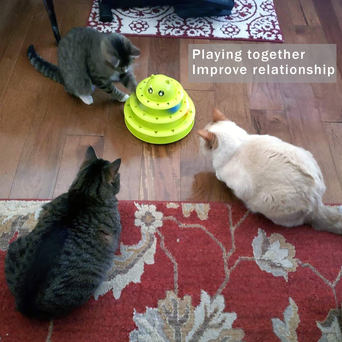 Cat Toy Roller 3-Level Turntable Cat Toys with Six Colorful Balls - iTalkPet