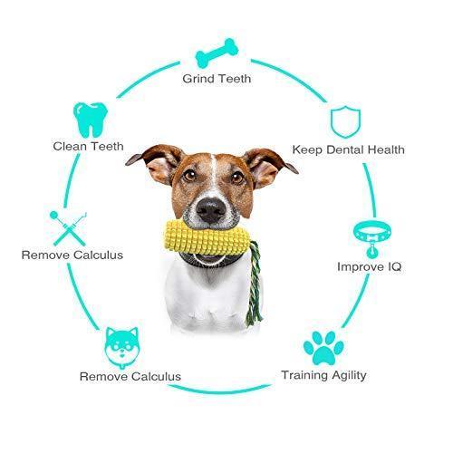 Corn Squeaky Dog Chew Toys for Aggressive Chewers - iTalkPet