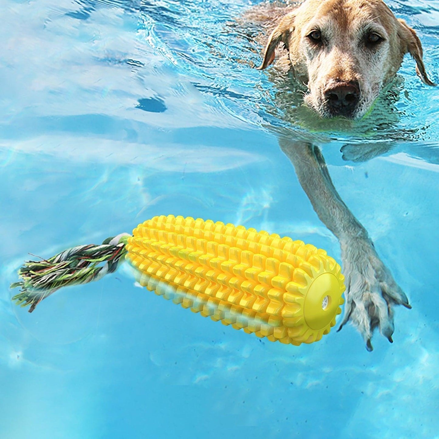 Corn Squeaky Dog Chew Toys for Aggressive Chewers - iTalkPet