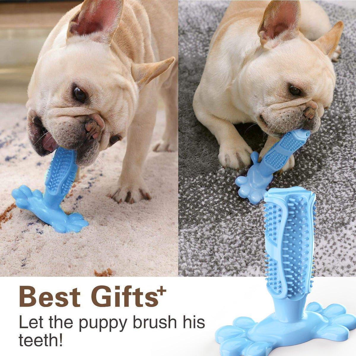 Dog Toothbrush Chew Toys Natural Rubber Dog Tooth Cleaner - iTalkPet