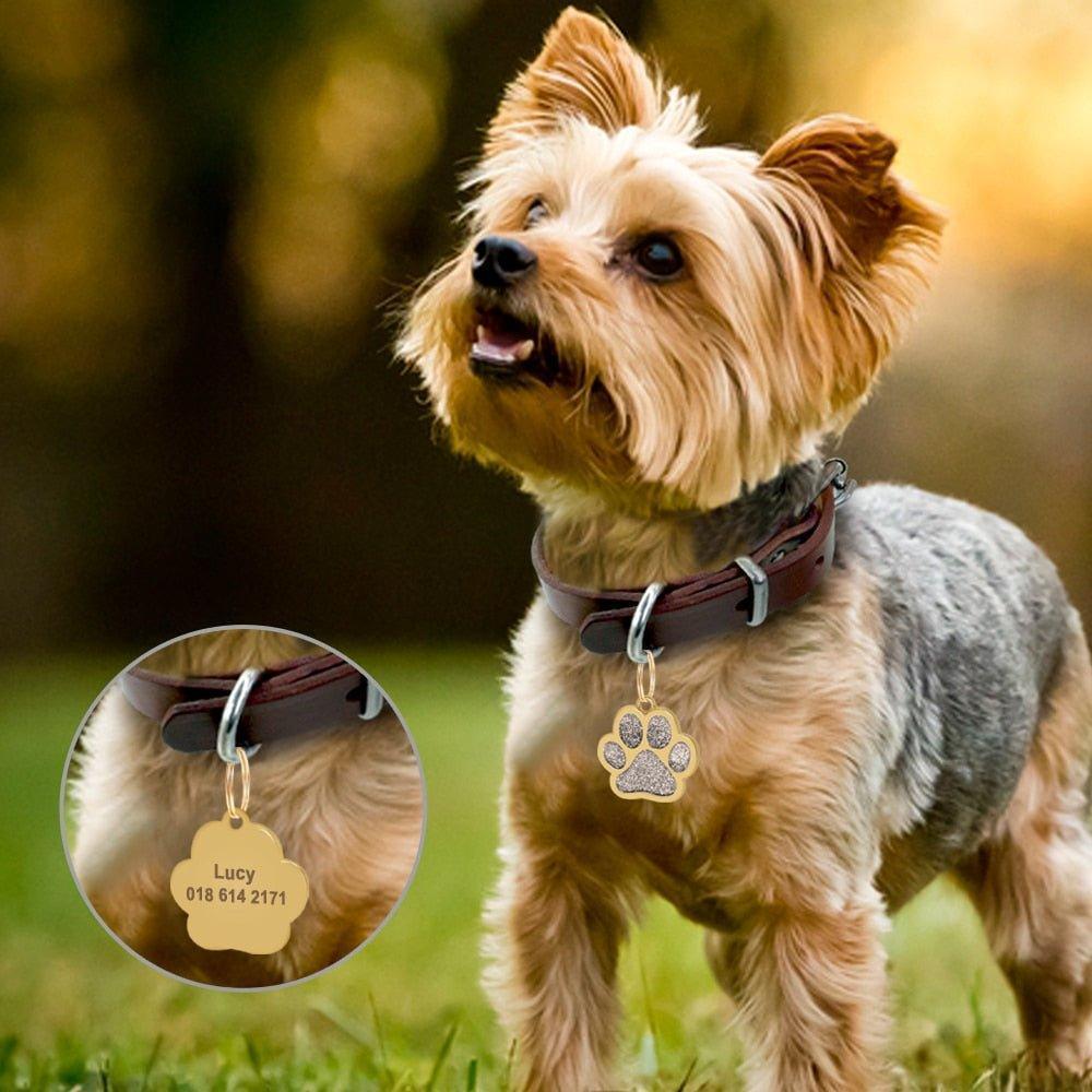 Free Engraved Pet ID Tag Personalized Cat Puppy ID Tag - iTalkPet