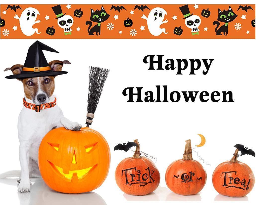 Halloween Adjustable Dog Collar - iTalkPet
