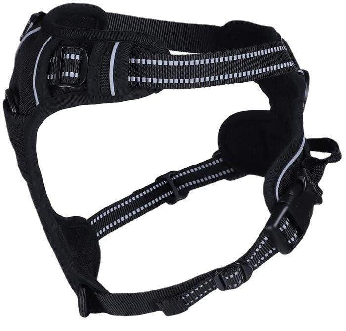 No-Pull Pet Dog Harness with 2 Clips - Adjustable Soft Padded Dog Vest - iTalkPet