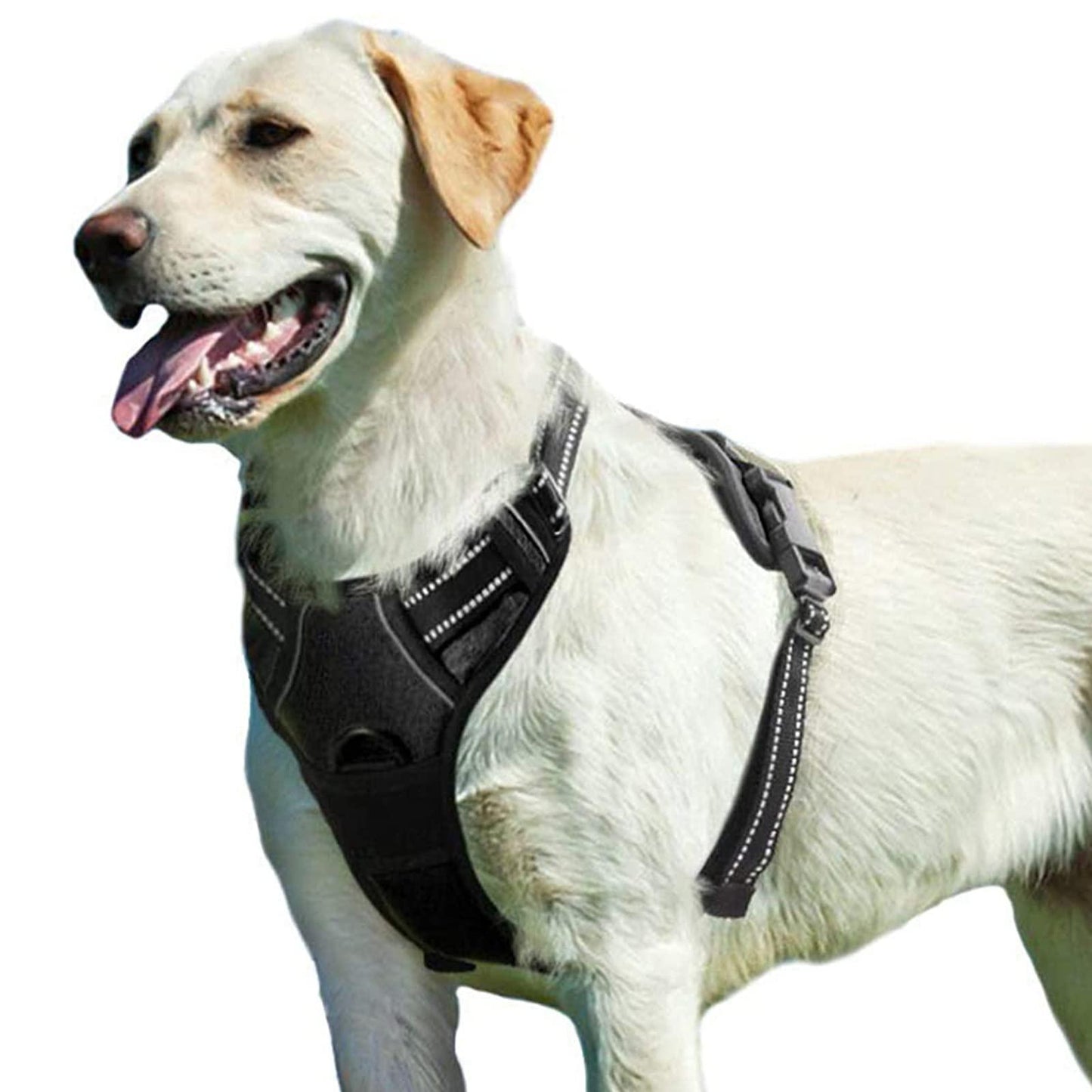 No-Pull Pet Dog Harness with 2 Clips - Adjustable Soft Padded Dog Vest - iTalkPet