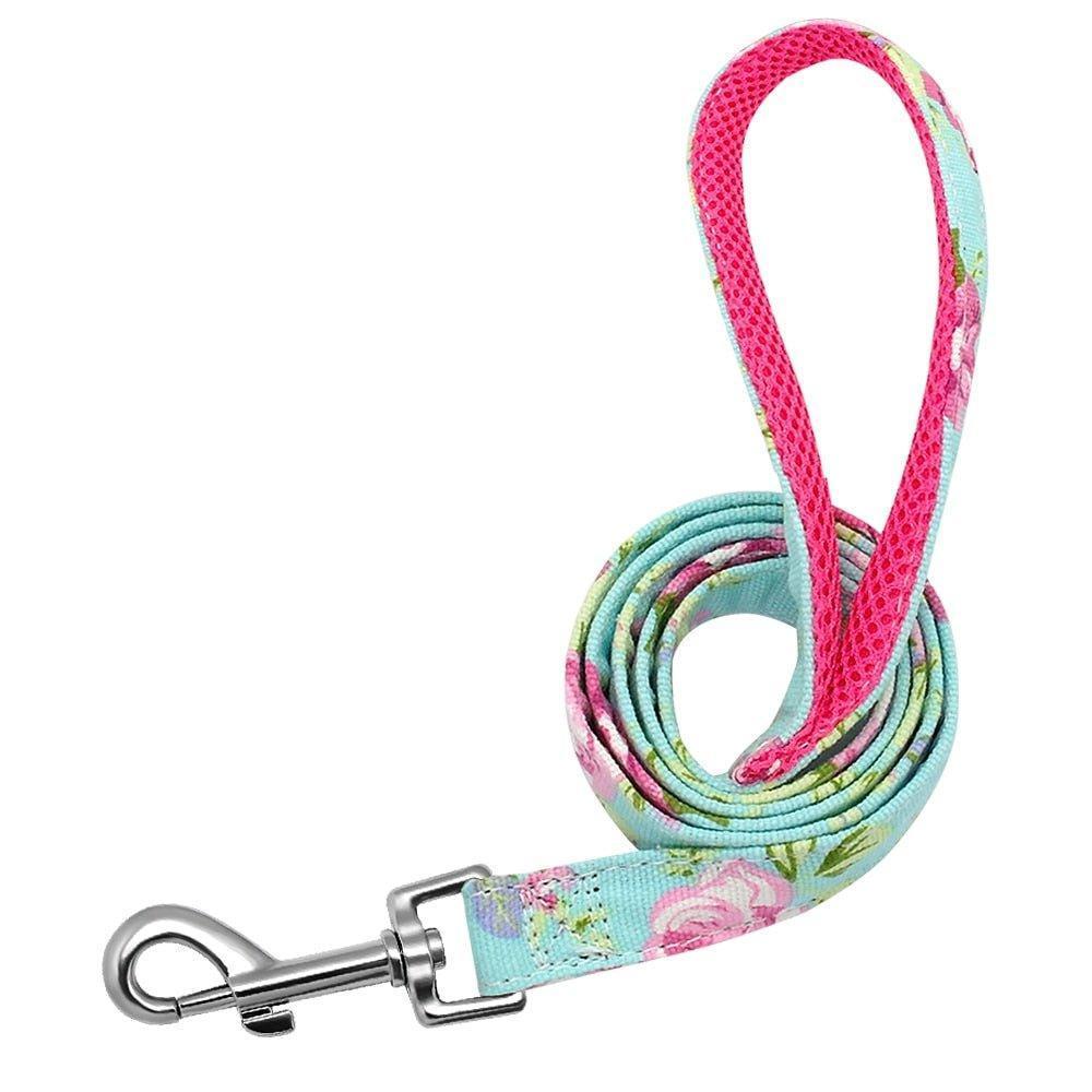 Nylon Printed Mesh Padded Pet Puppy Walking Leash - iTalkPet