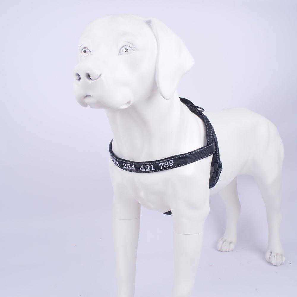 Personalized Dog Harness - Reflective Adjustable Customized Pet Harness - iTalkPet