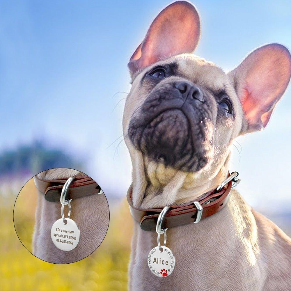 Personalized Pet ID Tag Stainless Steel Custom Name Tag - iTalkPet