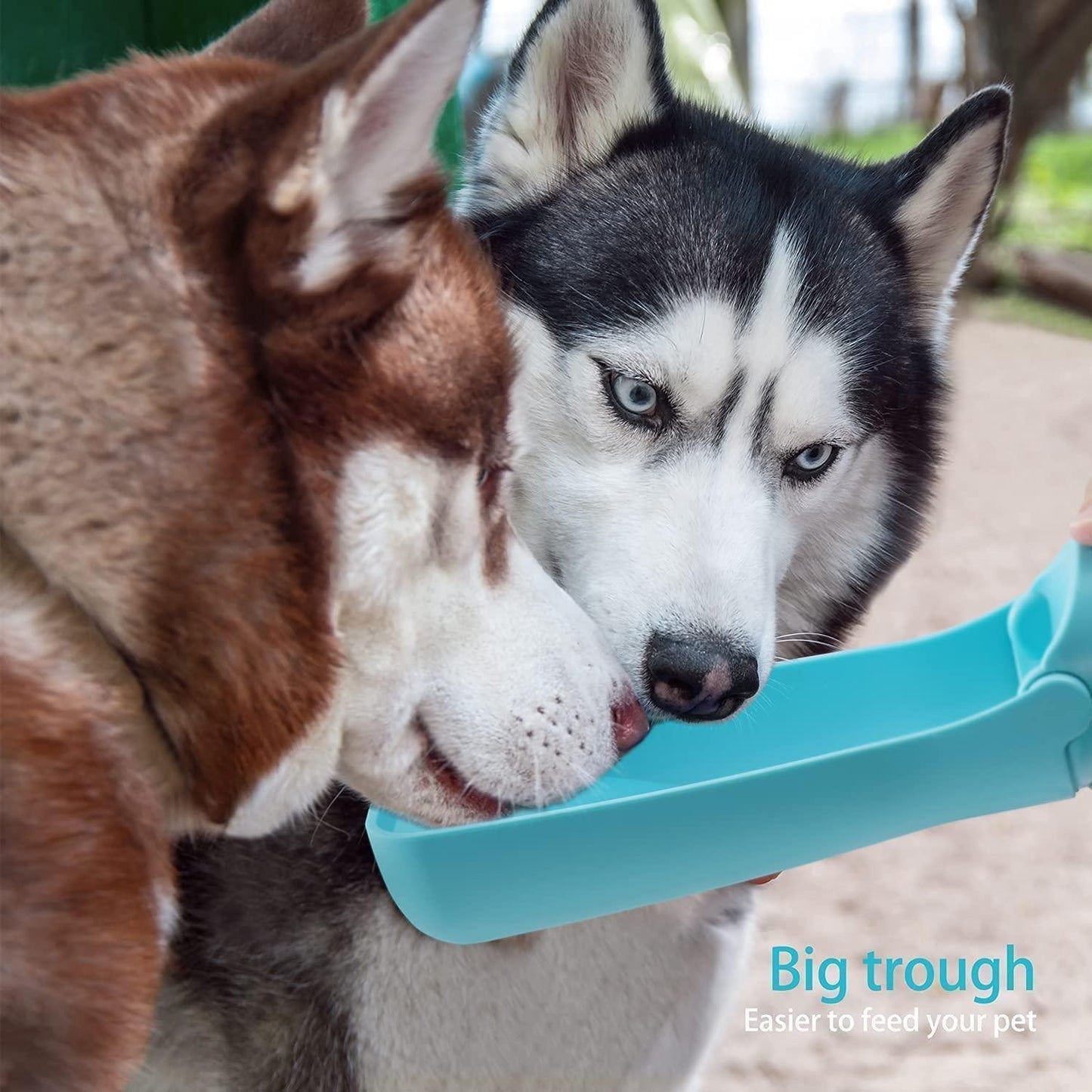 19OZ Portable Dog Water Bottle for Walking - iTalkPet