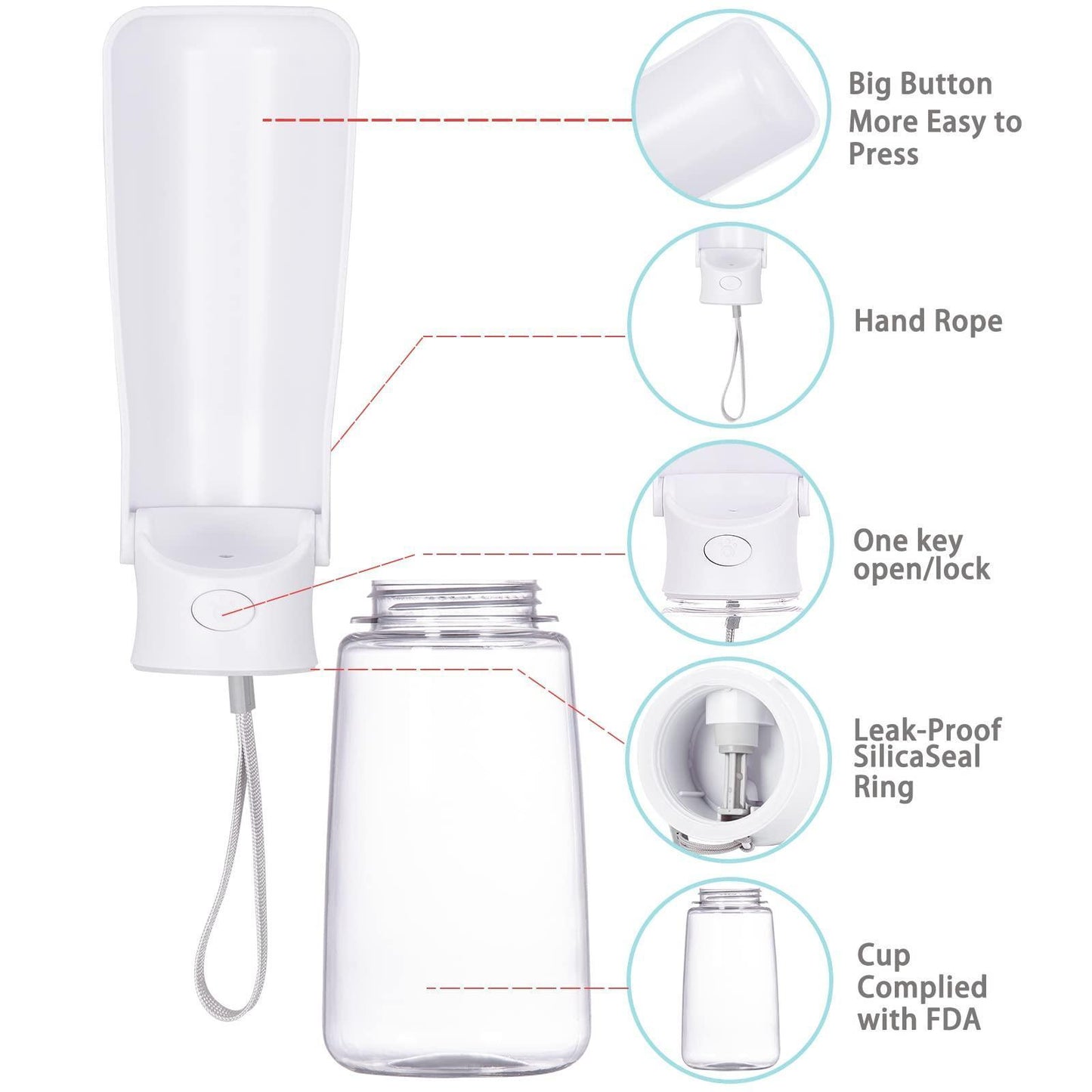 19OZ Portable Dog Water Bottle for Walking - iTalkPet