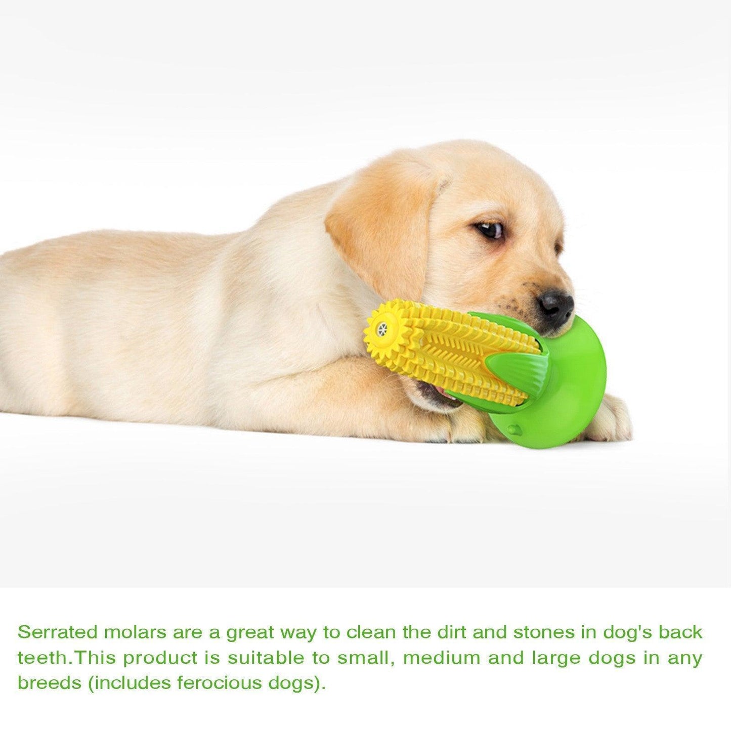 Puppy Teething Chew Toys Squeaky Corn Stick Tough Toys - iTalkPet