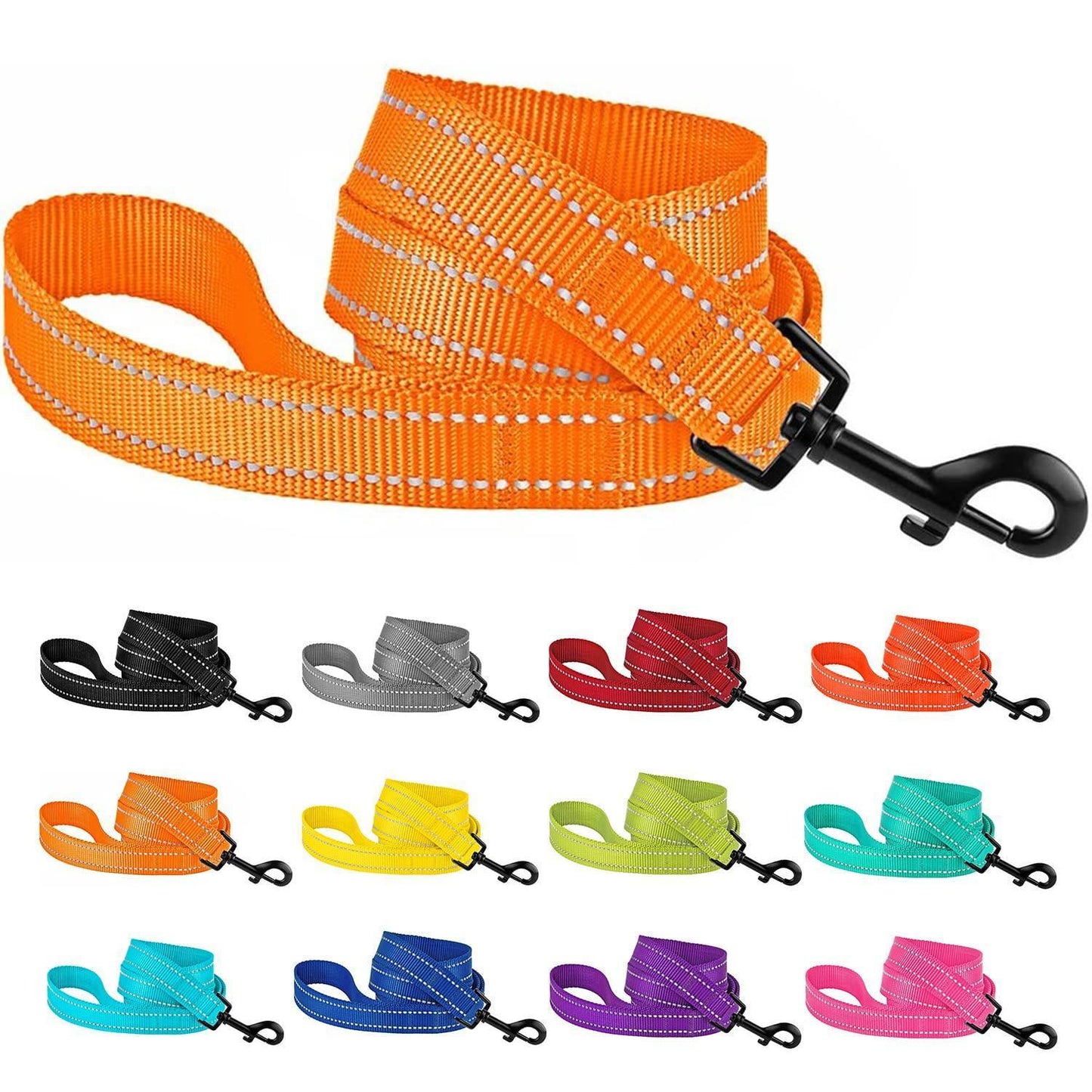 Reflective Nylon Dog Leash - iTalkPet