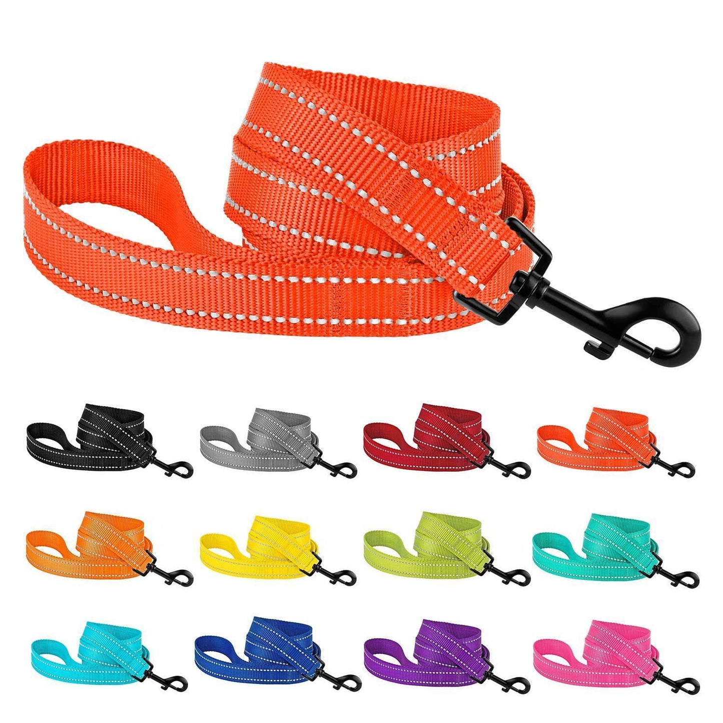 Reflective Nylon Dog Leash - iTalkPet