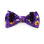 Personalized Halloween Dog Collars