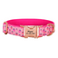 Colorful Fower Custom Dog Collars, Personalized Puppy Collar, Bowtie, Leash