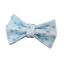 Blue Flower Personalized Cat Collar with Bowtie Free Engraved