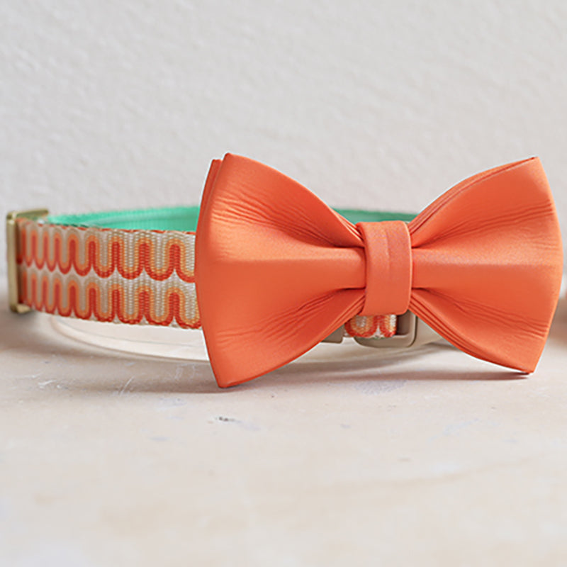Cute Personalized Dog Collar with Plastic Buckle