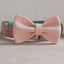 Cute Personalized Dog Collar with Plastic Buckle