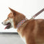 Cute Flower Personalized Dog Collar with Plastic Buckle