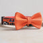 Halloween Cute Personalized Dog Collar with Plastic Buckle