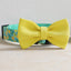 Fruit Cute Personalized Dog Collar Plastic Buckle, Custom Pet Collar Bow Tie, Leash