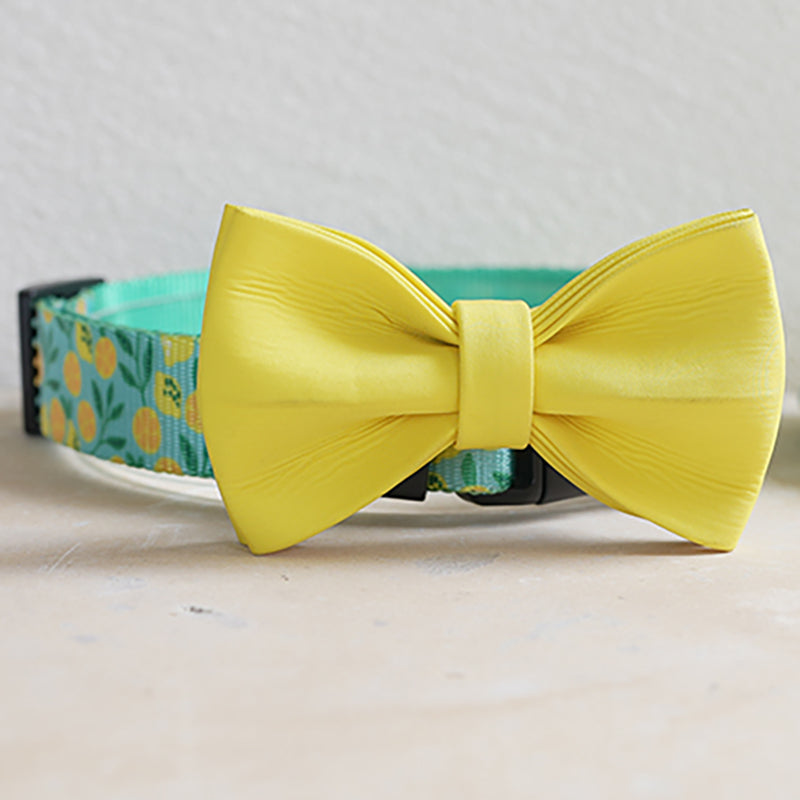 Fruit Cute Personalized Dog Collar Plastic Buckle, Custom Pet Collar Bow Tie, Leash