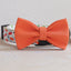 Fruit Cute Personalized Dog Collar Plastic Buckle, Custom Pet Collar Bow Tie, Leash