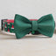 Halloween Cute Personalized Dog Collar with Plastic Buckle