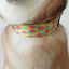 Fruit Cute Personalized Dog Collar Plastic Buckle, Custom Pet Collar Bow Tie, Leash