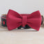 Cute Personalized Dog Collar with Plastic Buckle
