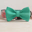 Halloween Cute Personalized Dog Collar with Plastic Buckle