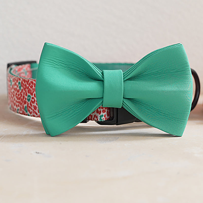 Halloween Cute Personalized Dog Collar with Plastic Buckle